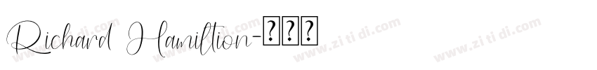 Richard Hamiltion字体转换